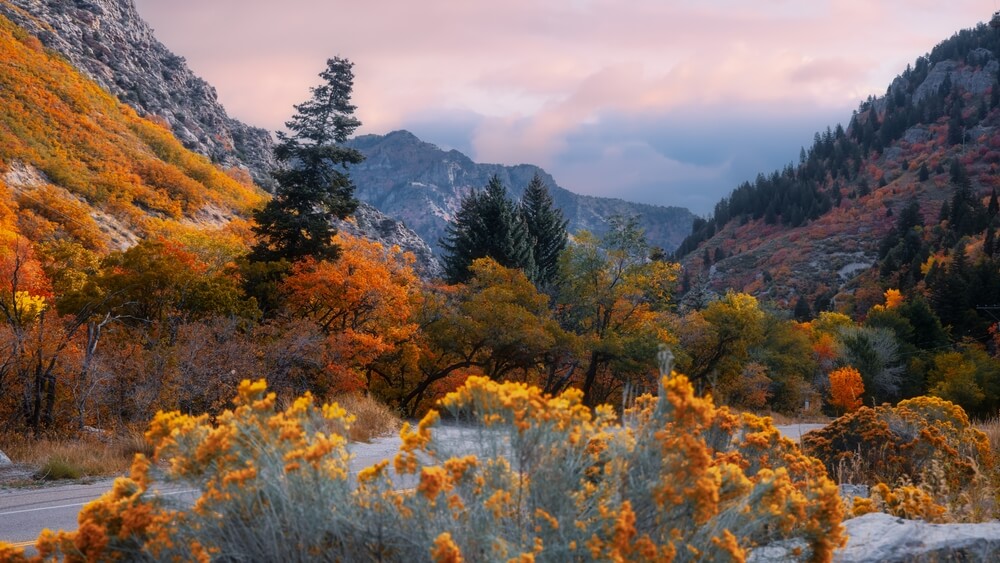Ogden Utah mountains
